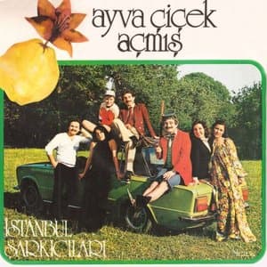 Ayva Cicek Acmis