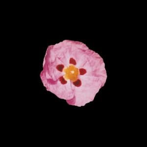 Fragile 24-96