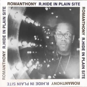 R.Hide In Plain Site