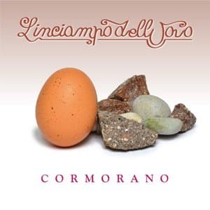 LInciampo DellUovo