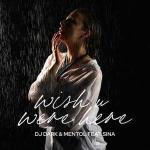 Wish You Were Here