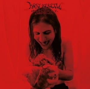 Post-Heretic Dracula X Chronicles LP