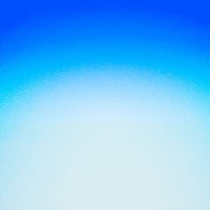 Blank