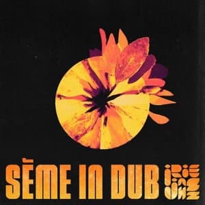 Seme in Dub