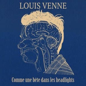 Comme une bete dans les headlights II