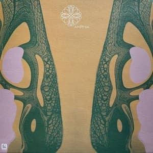 Ritual Signal LP