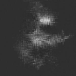 Recluse (Remixed)