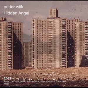 Hidden Angel