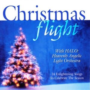 Christmas Flight