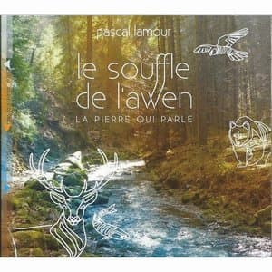 Le souffle de lAwen: La pierre qui parle