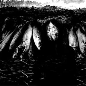 We Are The Plague