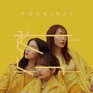 Terminal
