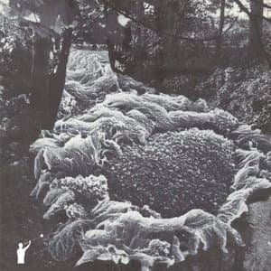 Fields of Sorrow