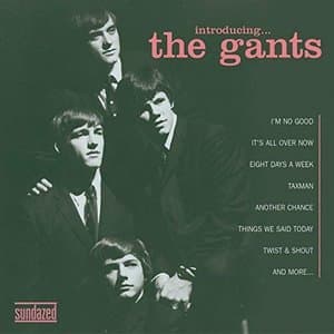 Introducing... The Gants