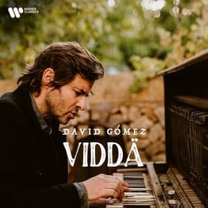 VIDDA