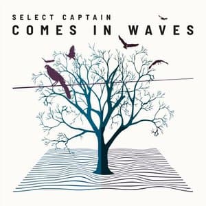 Comes in Waves