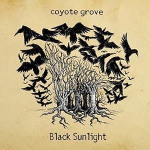 Black Sunlight