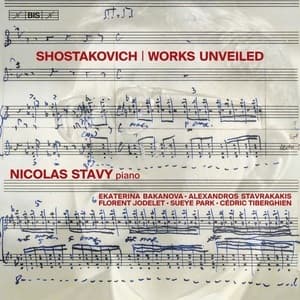 Works Unveiled (Nicolas Stavy)