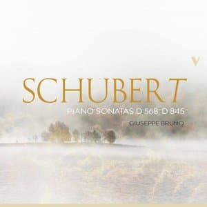 Schubert: Piano Sonatas, D. 568 & 845