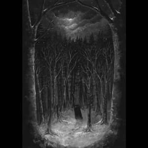 Im Wald