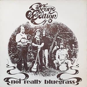Not Really Bluegrass
