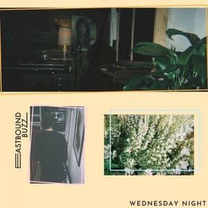 Wednesday Night