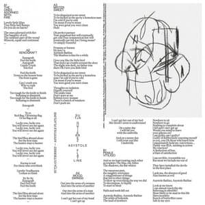 Asystole Flatline