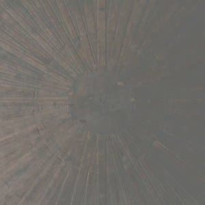 Selva Oscura