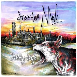 Stray Dogs