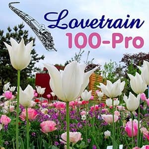 100-Pro