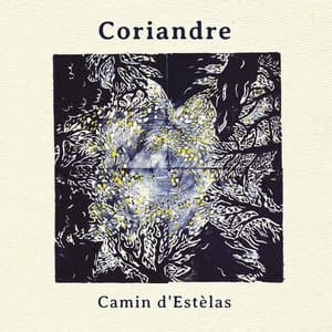 Camin destelas