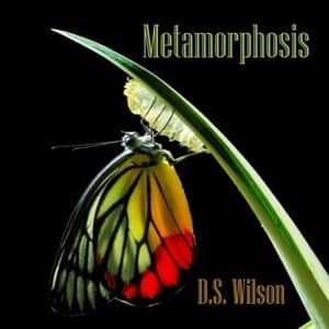 Metamorphosis