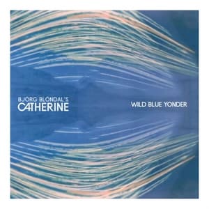 Wild Blue Yonder