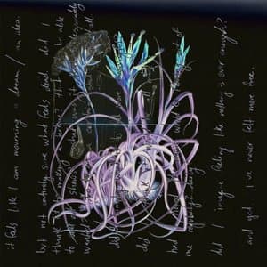 Wilt: Vinyl Version