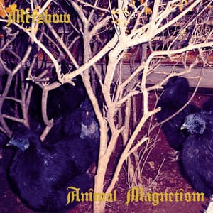 Animal Magnetism