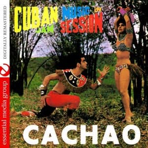 Cuban Music In Jam Session