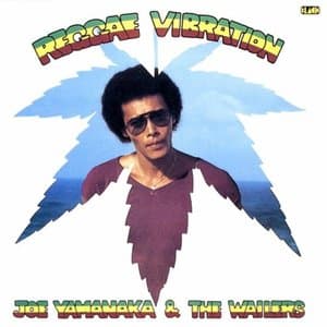 REGGAE VIBRATION