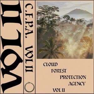 C . F . P . A. Vol. II