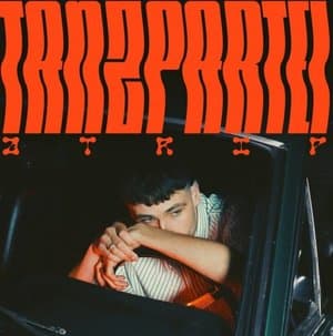 TANZPARTEI (Mixtape)