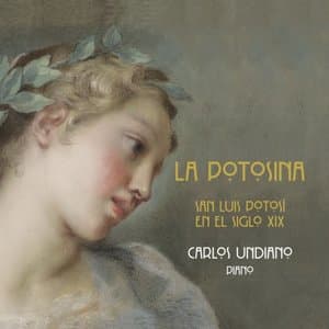 La Potosina, San Luis Potosi en el Siglo XIX