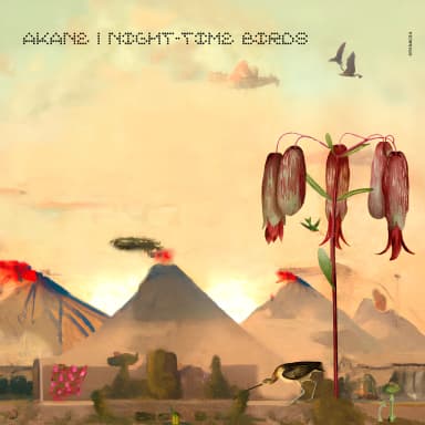 Night-Time Birds