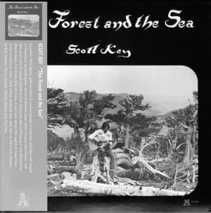 This Forest and the Sea