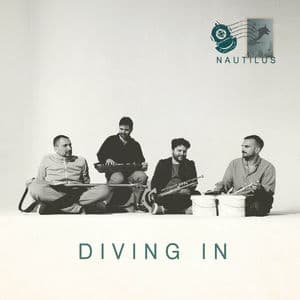 Diving In