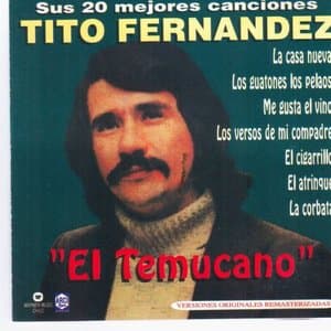 Sus 20 Mejores Canciones