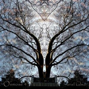 Osmose, Vol. 4