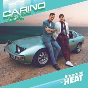 Attraction Of Heat