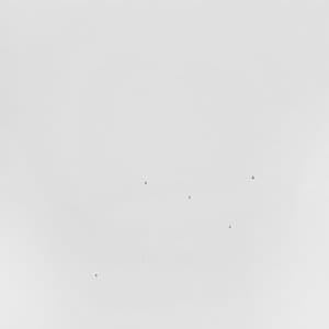 Conjectures