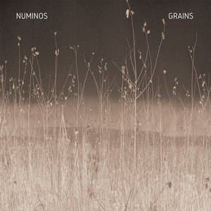 Grain