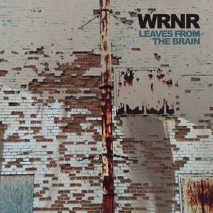 Leaves From The Brain