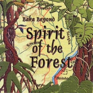 Spirit Of The Forest